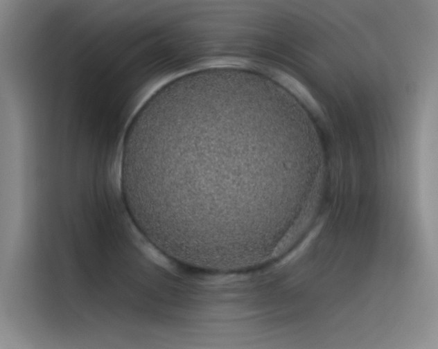 X0000116101228200911231119