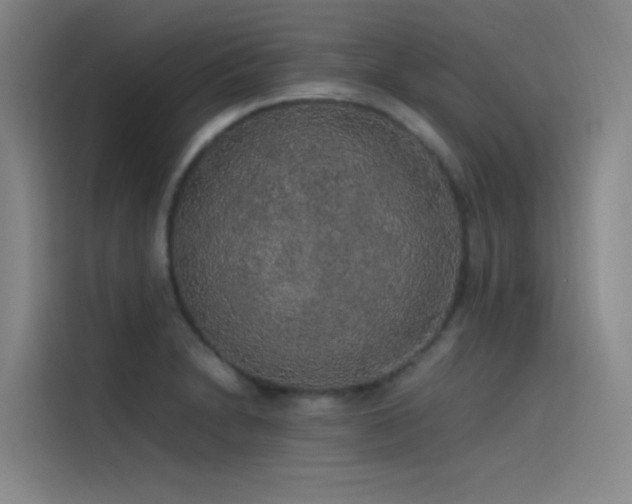 X0000116101230200911231119