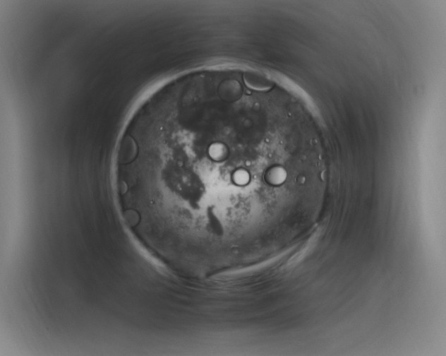 X0000116101231200911231119