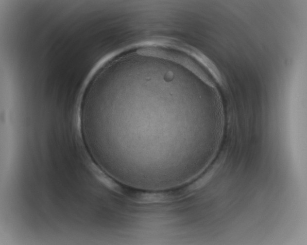 X0000116101232200911231119