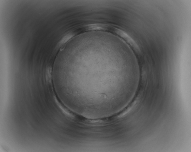 X0000116101233200911231119