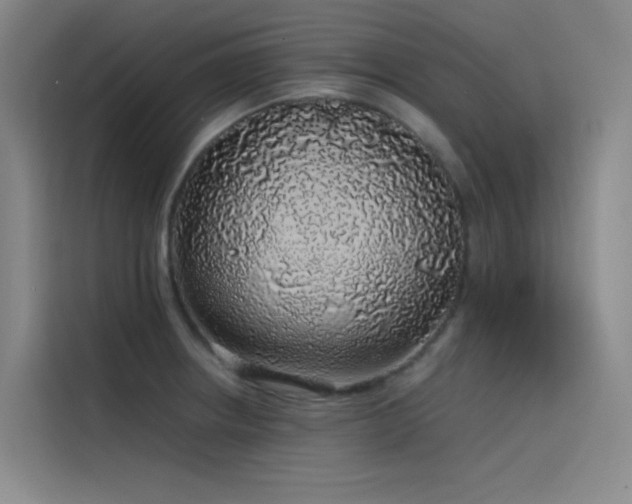 X0000116101234200911231119