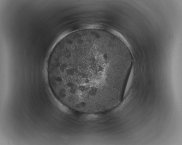 X0000116101235200911231119
