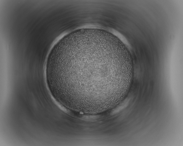 X0000116101237200911231119