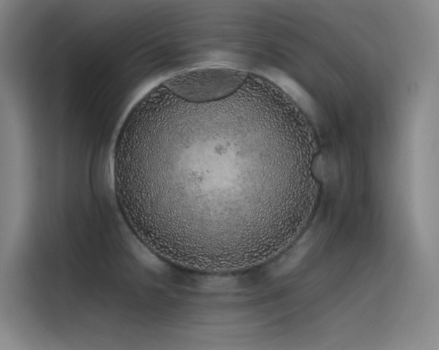 X0000116101238200911231119