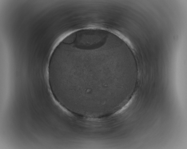 X0000116101239200911231119