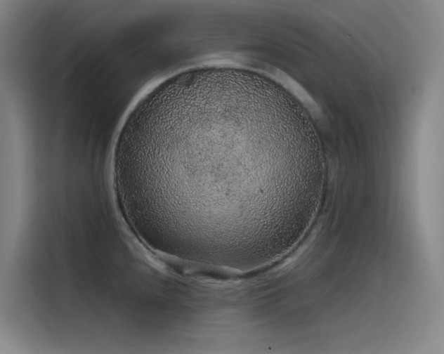 X0000116101240200911231119