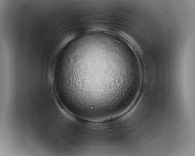X0000116101241200911231119