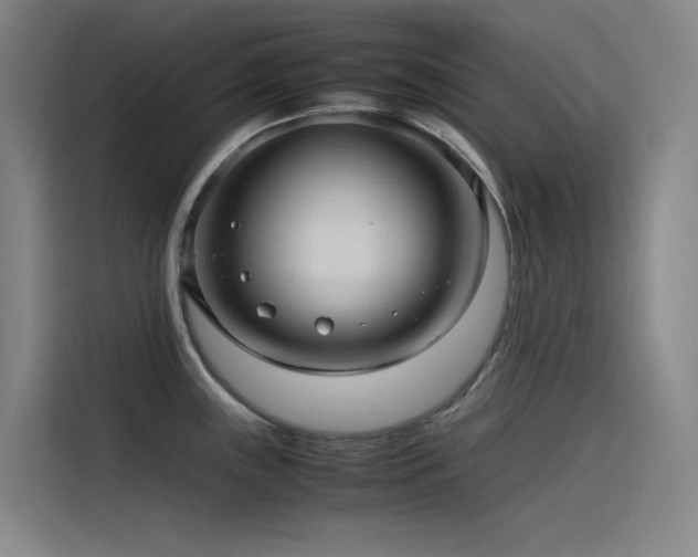 X0000116101243200911231119