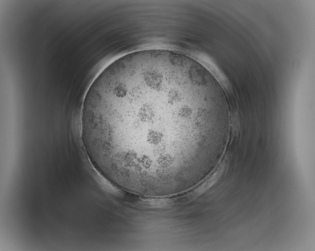 X0000116101244200911231119