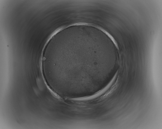X0000116101245200911231119