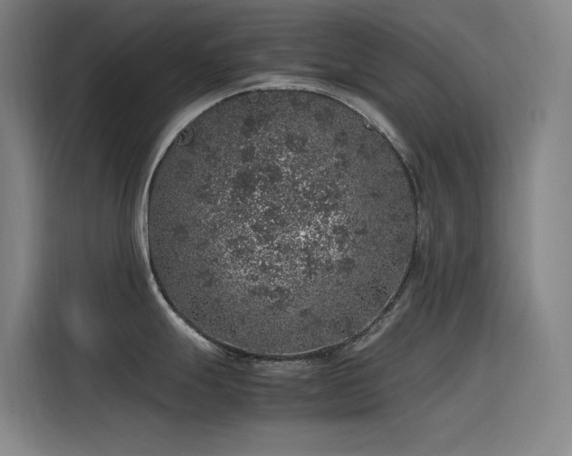 X0000116101247200911231119