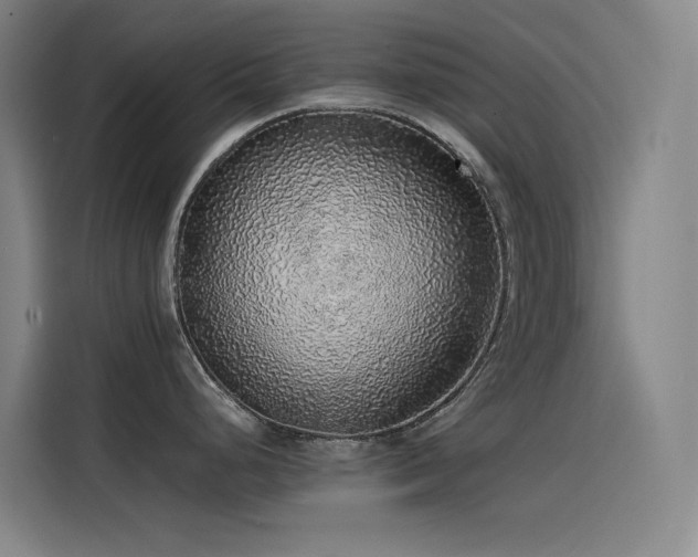 X0000116101248200911231119