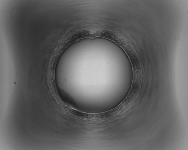 X0000116101249200911231118