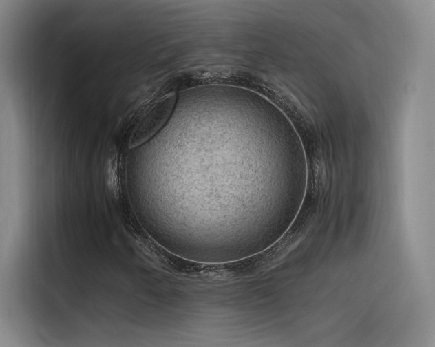 X0000116101250200911231118
