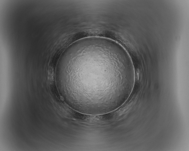 X0000116101251200911231118