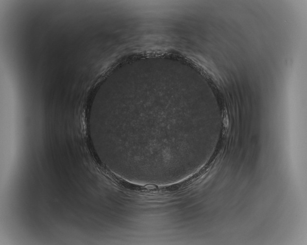 X0000116101252200911231118