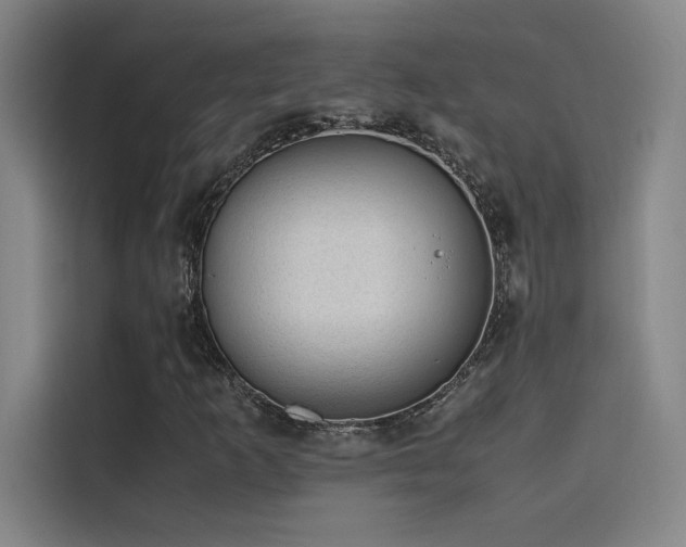 X0000116101253200911231118