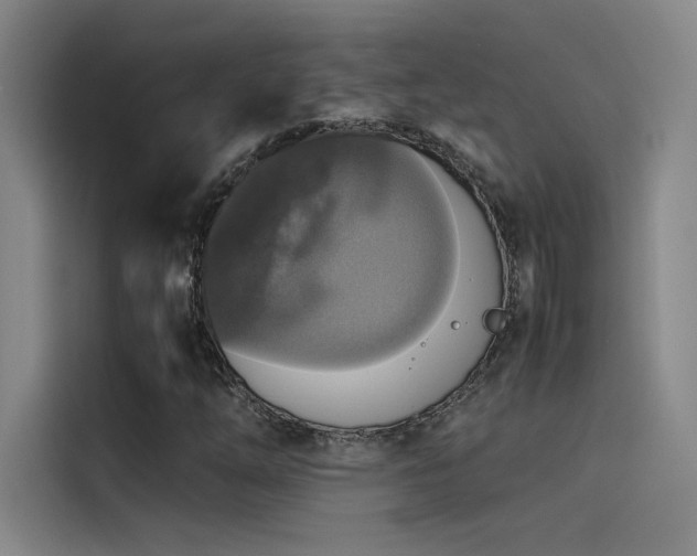 X0000116101254200911231118