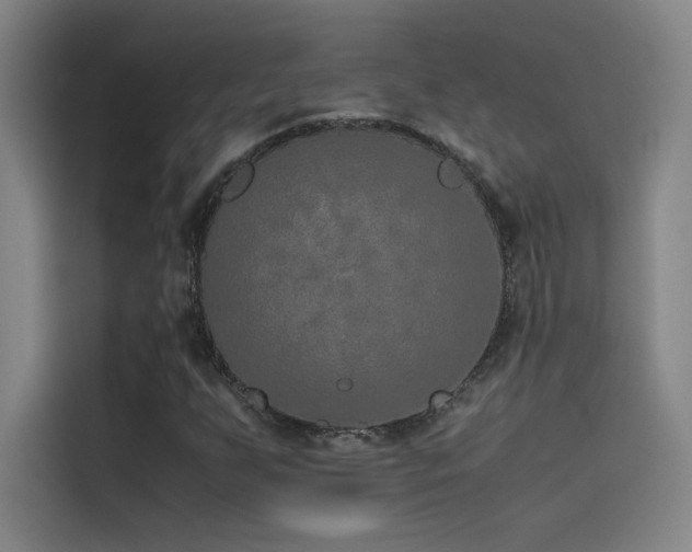 X0000116101255200911231118