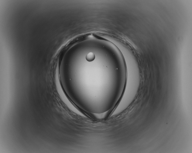 X0000116101256200911231118