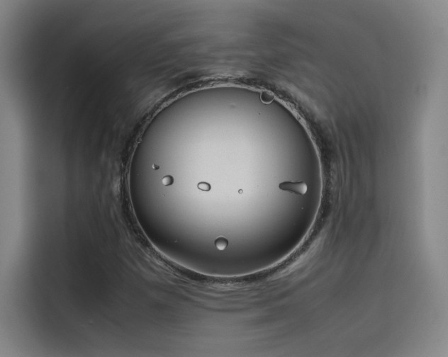 X0000116101257200911231118