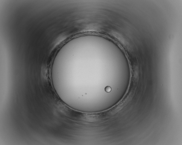 X0000116101258200911231118