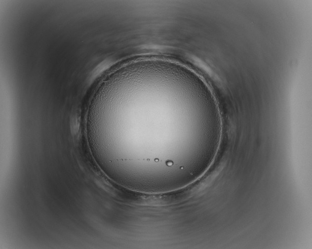 X0000116101259200911231118
