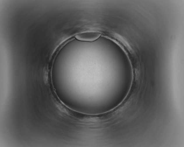 X0000116101260200911231118
