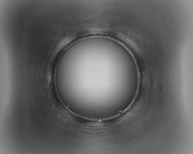 X0000116101261200911231118