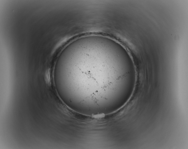 X0000116101262200911231118