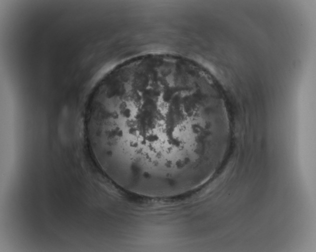 X0000116101263200911231118