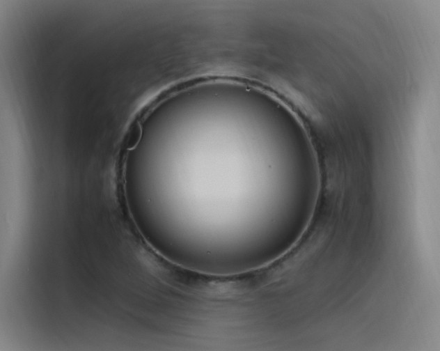 X0000116101264200911231118