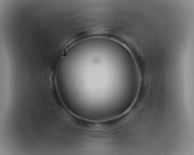 X0000116101265200911231118