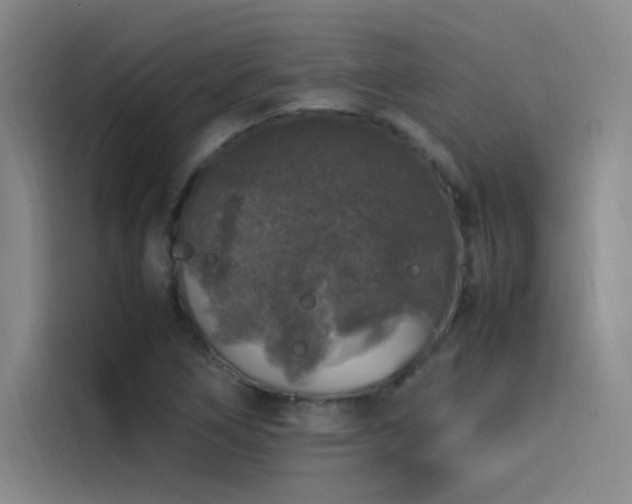 X0000116101266200911231118