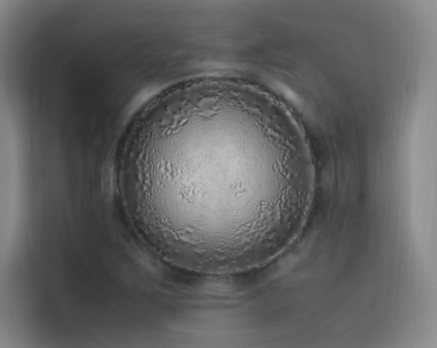 X0000116101267200911231118