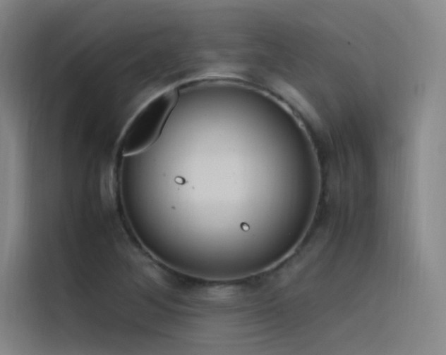 X0000116101268200911231118