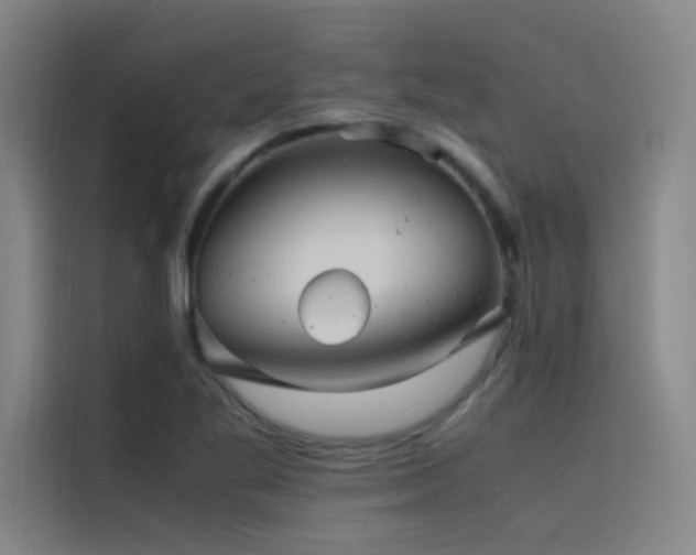 X0000116101269200911231118