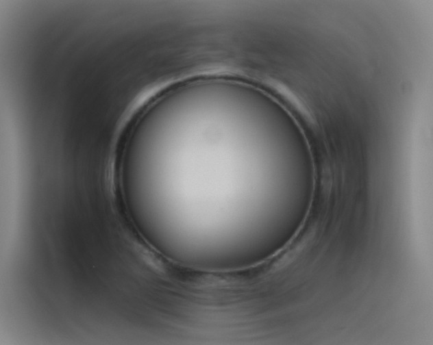 X0000116101270200911231118