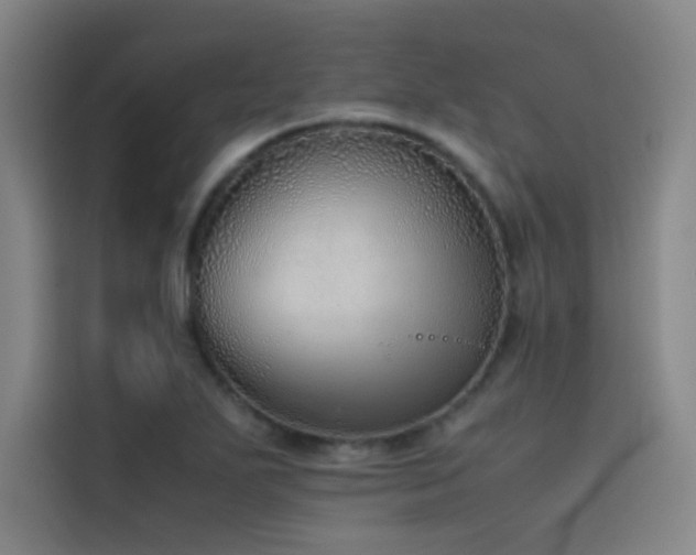 X0000116101271200911231118