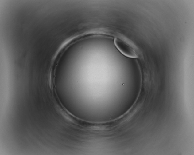 X0000116101272200911231118