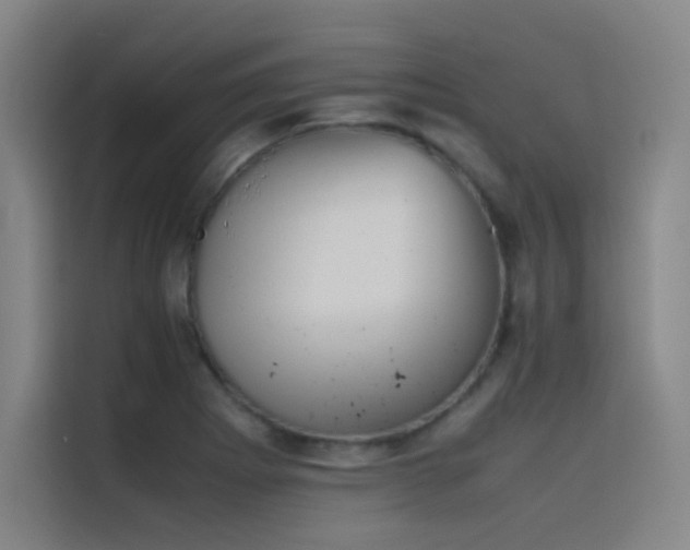 X0000116101273200911231118