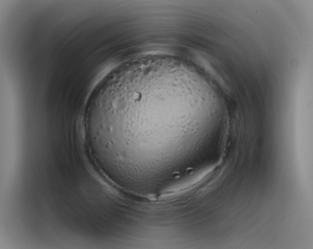 X0000116101274200911231118