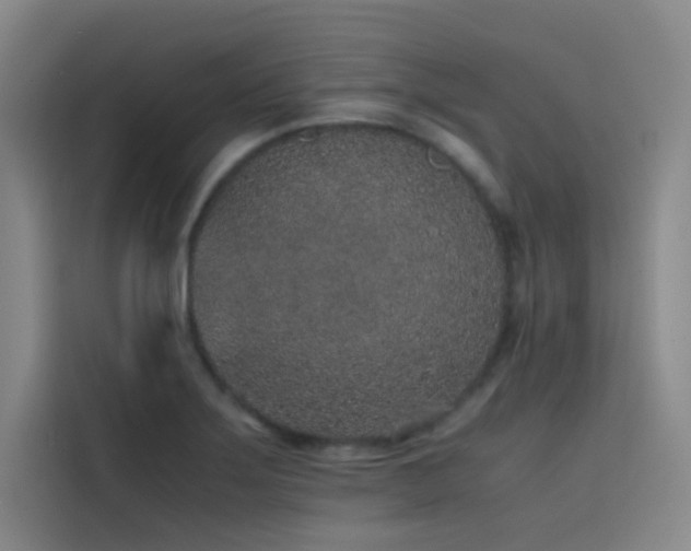 X0000116101275200911231118