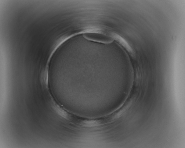 X0000116101276200911231118