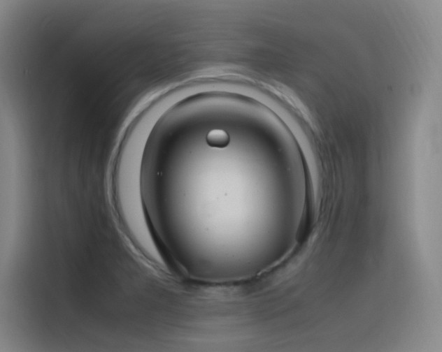 X0000116101277200911231118