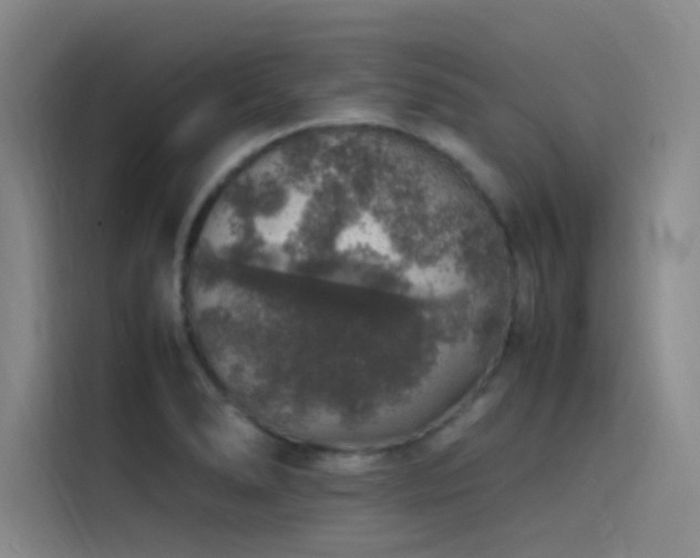 X0000116101278200911231118