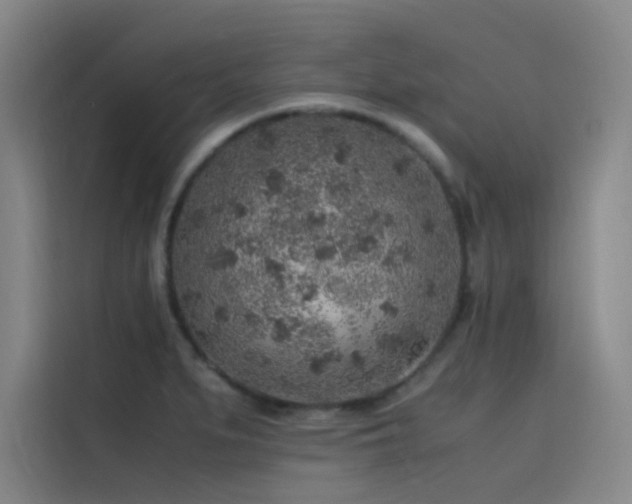 X0000116101279200911231118