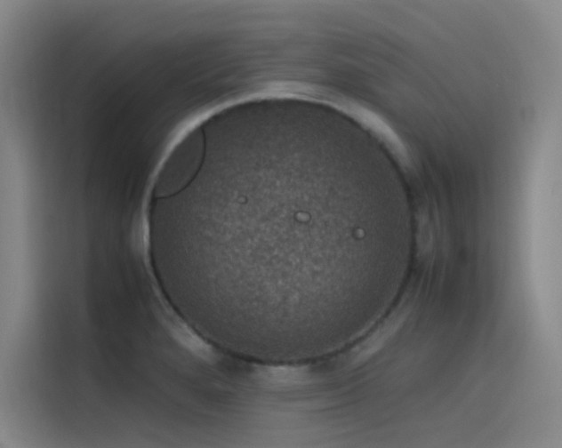 X0000116101280200911231118