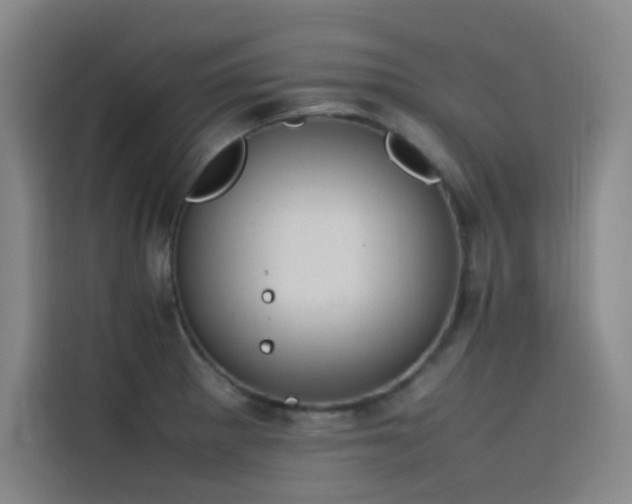 X0000116101281200911231118